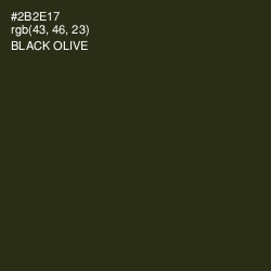 #2B2E17 - Black Olive Color Image
